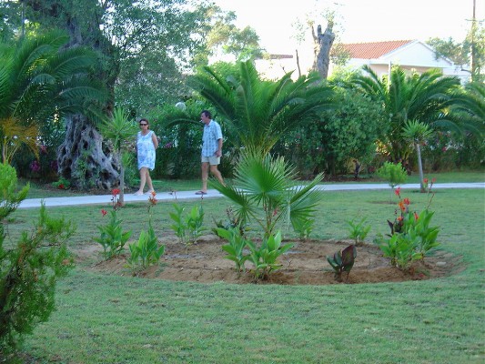 photo009.jpg